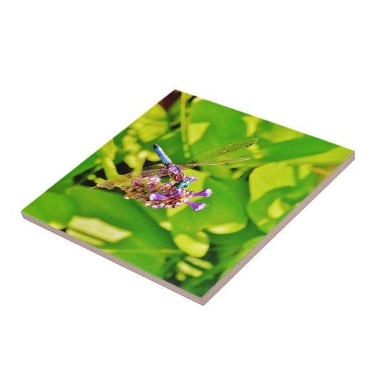 Regenbogenfarbene Libelle auf einer lila rosa Blum Fliese (Seite)