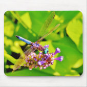 Regenbogenfarbene Libelle auf einer lila rosa Blum Mousepad (Vorne)