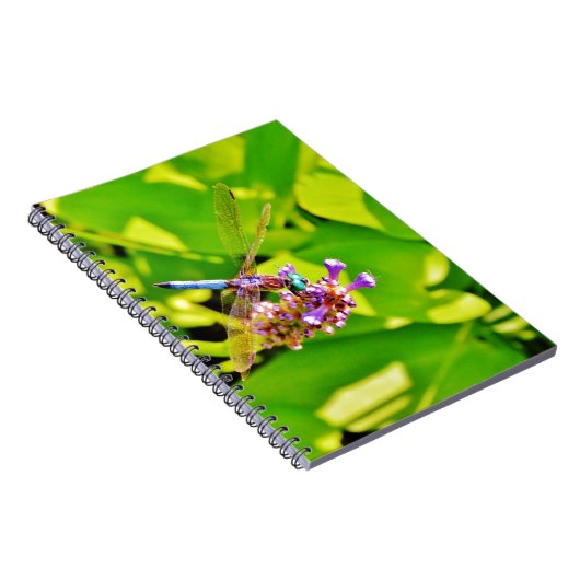 Regenbogenfarbene Libelle auf einer lila rosa Blum Notizblock (Rechte Seite)