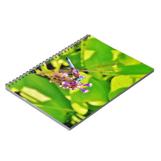 Regenbogenfarbene Libelle auf einer lila rosa Blum Notizblock (Linke Seite)