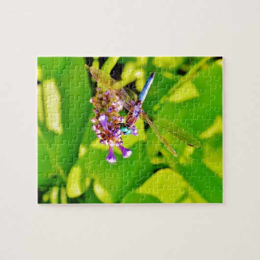 Regenbogenfarbene Libelle auf einer lila rosa Blum Puzzle (Horizontal)