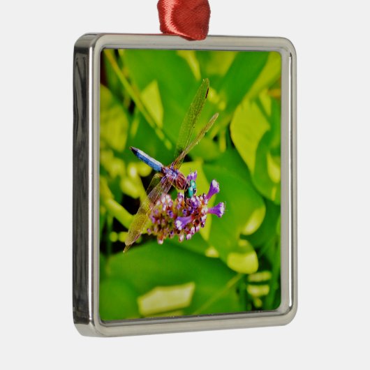 Regenbogenfarbene Libelle auf einer lila rosa Blum Silbernes Ornament (Rechts)