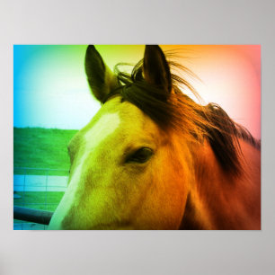 Regenbogenfarbener Wildleder Poster