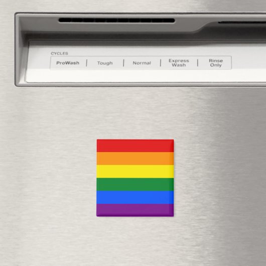 Regenbogenflagge (LGBT) Magnet (In Situ (Geschirrspüler))