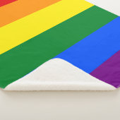 Regenbogenflagge (LGBT) Sherpadecke (3/4)