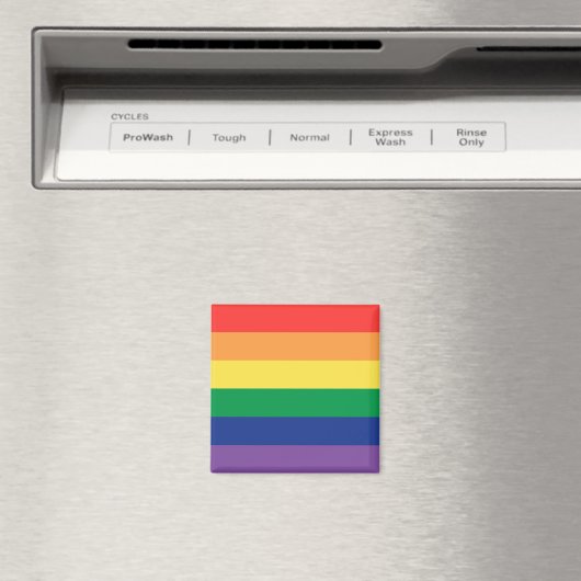 Regenbogenflagge Magnet (In Situ (Geschirrspüler))