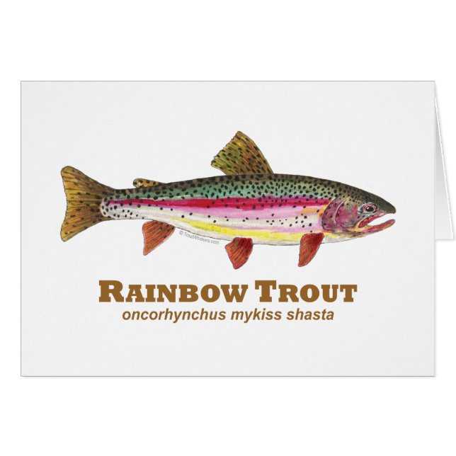Regenbogenforelle (Vorderseite (Horizontal))