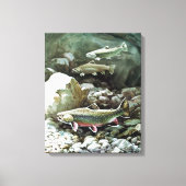 Regenbogenforelle Art 2 Leinwanddruck (Vorderseite)