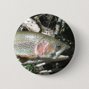 Regenbogenforelle Button