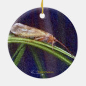 Regenbogenforelle - Caddisfly-Verzierung Keramikornament (Hinten)
