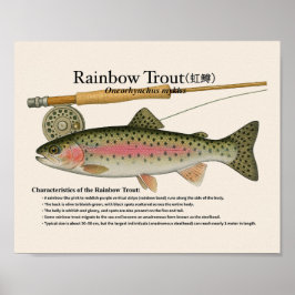 Regenbogenforelle – Englischer Kunstdruck Poster