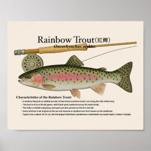 Regenbogenforelle – Englischer Kunstdruck Poster