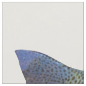 Regenbogenforelle-Fett-Viertel Stoff (Nahaufnahme)