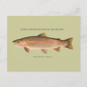 Regenbogenforelle-Fisch mit Vintage-Illustration Postkarte