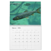 Regenbogenforelle Fische 2024 Kalender (Feb 2026)