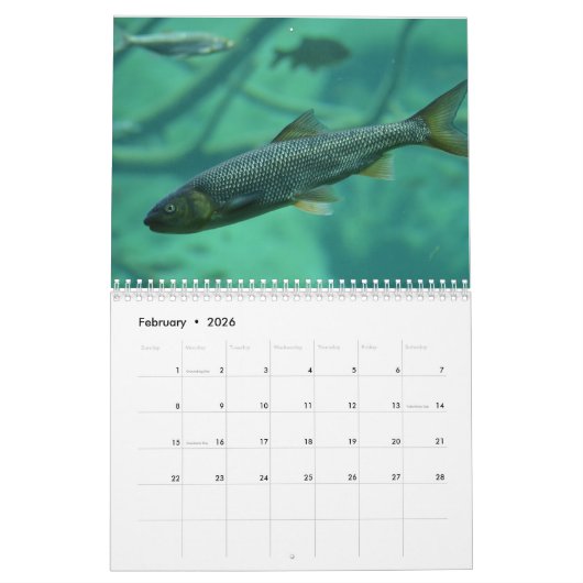 Regenbogenforelle Fische 2024 Kalender (Feb 2026)