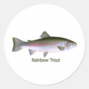Regenbogenforelle-Fischen-Logo Runder Aufkleber
