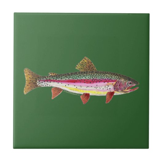 Regenbogenforelle Fliese (Vorderseite)