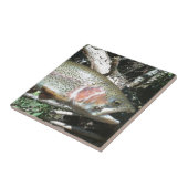 Regenbogenforelle Fliese (Seite)