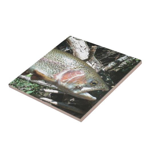 Regenbogenforelle Fliese (Seite)