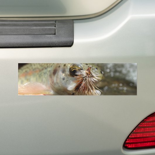 Regenbogenforelle-Foto Autoaufkleber (Auf Auto)