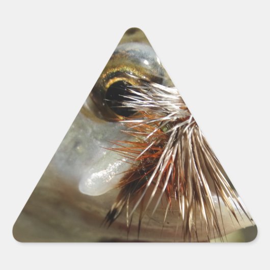 Regenbogenforelle-Foto Dreieckiger Aufkleber (Vorderseite)