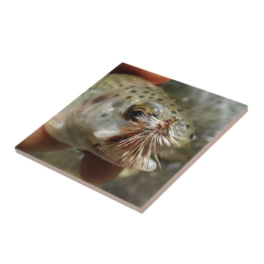 Regenbogenforelle-Foto Fliese (Seite)