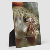 Regenbogenforelle-Foto Fotoplatte (Seite)