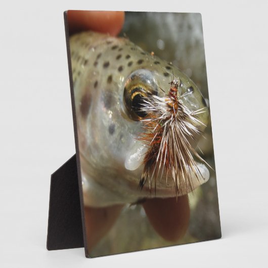 Regenbogenforelle-Foto Fotoplatte (Seite)