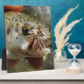 Regenbogenforelle-Foto Fotoplatte (Seite)