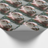 Regenbogenforelle Foto Geschenkpapier (Ecke)