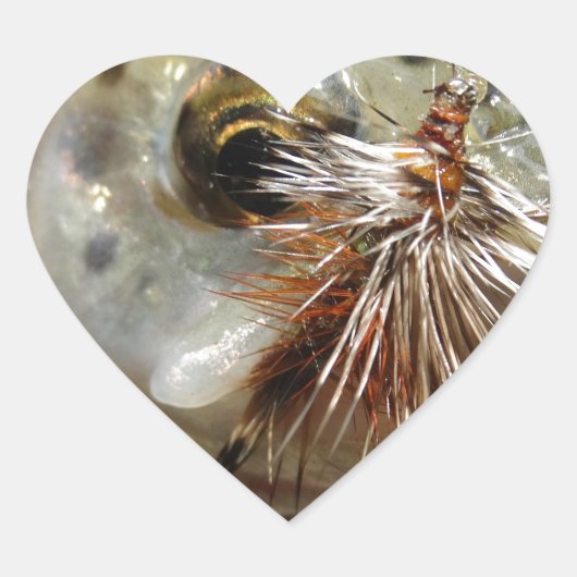 Regenbogenforelle-Foto Herz-Aufkleber (Vorderseite)