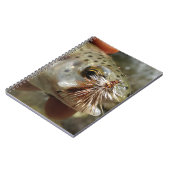 Regenbogenforelle-Foto Notizblock (Linke Seite)