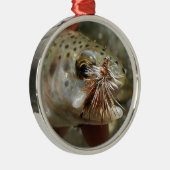 Regenbogenforelle-Foto Ornament Aus Metall (Rechts)