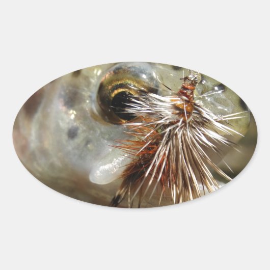 Regenbogenforelle-Foto Ovaler Aufkleber (Vorderseite)