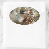 Regenbogenforelle-Foto Ovaler Aufkleber (Tasche)