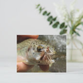 Regenbogenforelle-Foto Postkarte (Stehend Vorderseite)