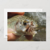 Regenbogenforelle-Foto Postkarte (Vorne/Hinten)