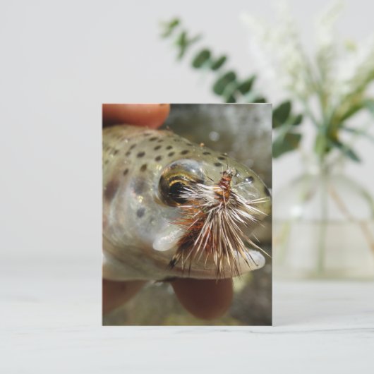 Regenbogenforelle-Foto Postkarte (Stehend Vorderseite)