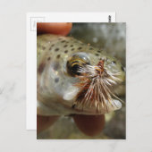 Regenbogenforelle-Foto Postkarte (Vorne/Hinten)