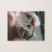 Regenbogenforelle-Foto Puzzle (Horizontal)