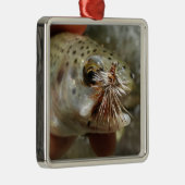 Regenbogenforelle-Foto Silbernes Ornament (Rechts)