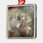 Regenbogenforelle-Foto Silbernes Ornament (Links)