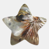 Regenbogenforelle-Foto Stern-Aufkleber (Vorderseite)