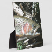 Regenbogenforelle Fotoplatte (Seite)