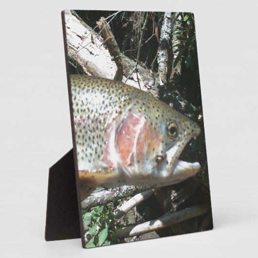 Regenbogenforelle Fotoplatte (Seite)