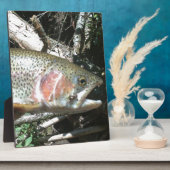 Regenbogenforelle Fotoplatte (Seite)