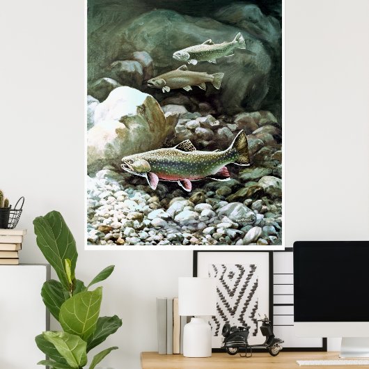 Regenbogenforelle in Bachfischen Poster AB 8.99 (Heimbüro)