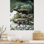 Regenbogenforelle in Bachfischen Poster AB 8.99 (Küche)