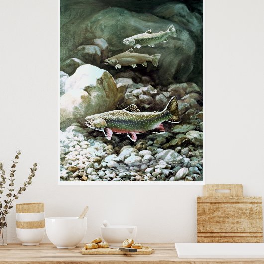Regenbogenforelle in Bachfischen Poster AB 8.99 (Küche)